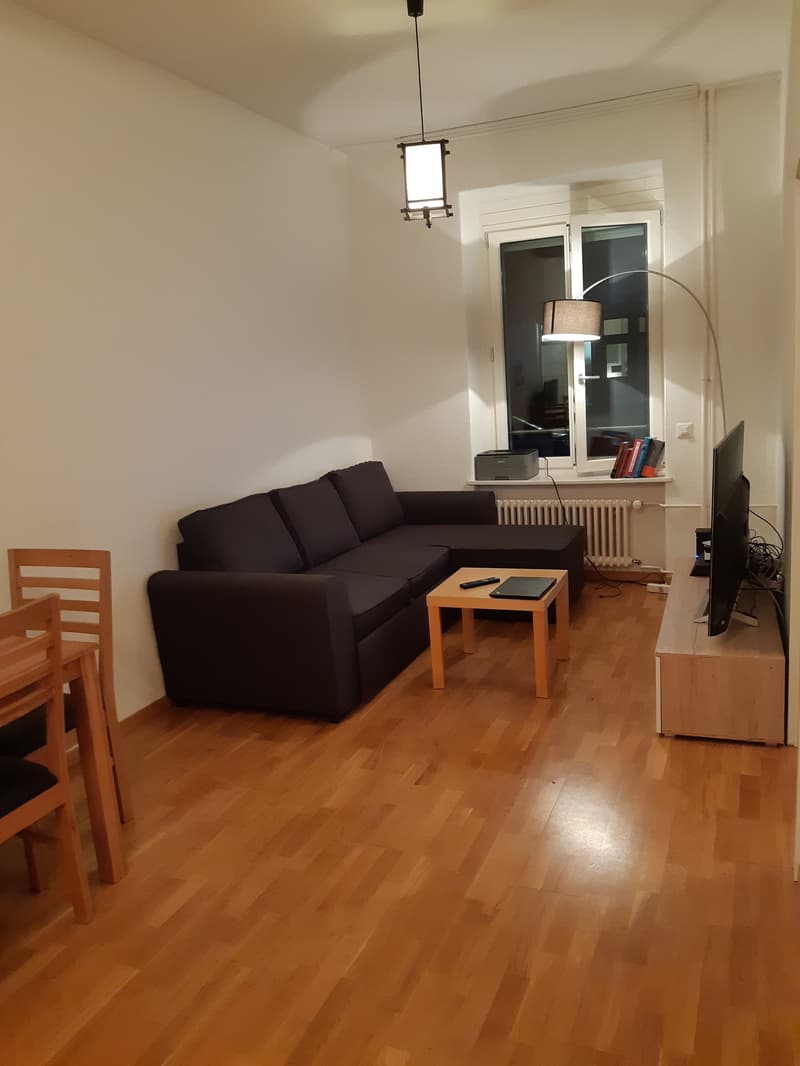 2½ ZI-WOHNUNG IN ZÜRICH - KREIS 3 WIEDIKON, MÖBLIERT, TEMPORÄR (1)