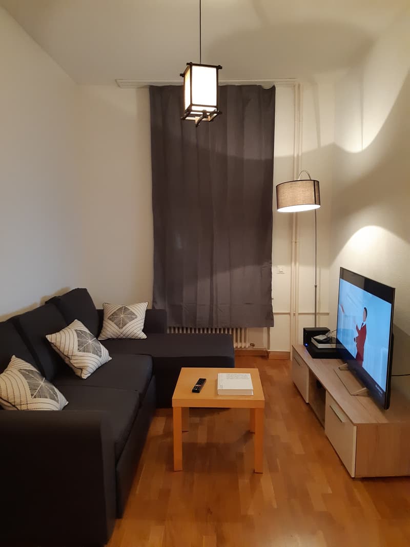 2½ ZI-WOHNUNG IN ZÜRICH - KREIS 3 WIEDIKON, MÖBLIERT, TEMPORÄR (2)