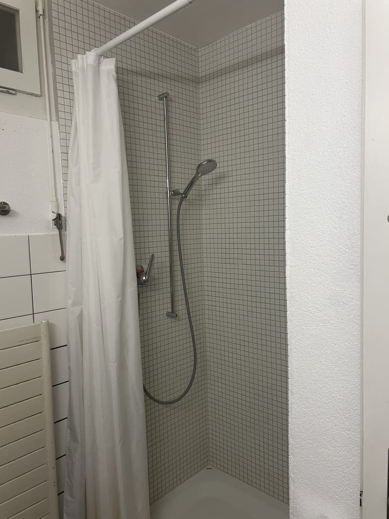STUDIO IN WABERN (BE), MÖBLIERT, TEMPORÄR (4)
