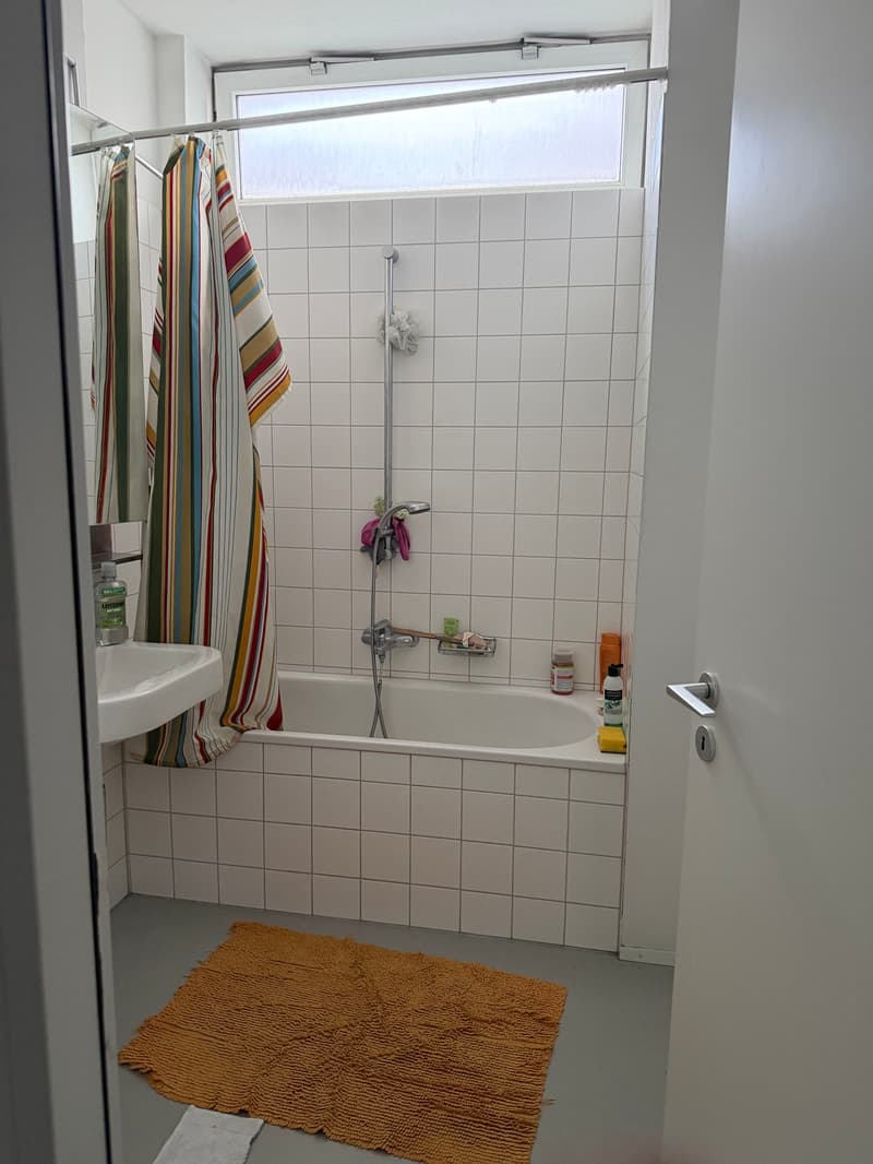 LOFT MIT 138 M²! IN ZURICH (ZH), MÖBLIERT, TEMPORÄR (6)