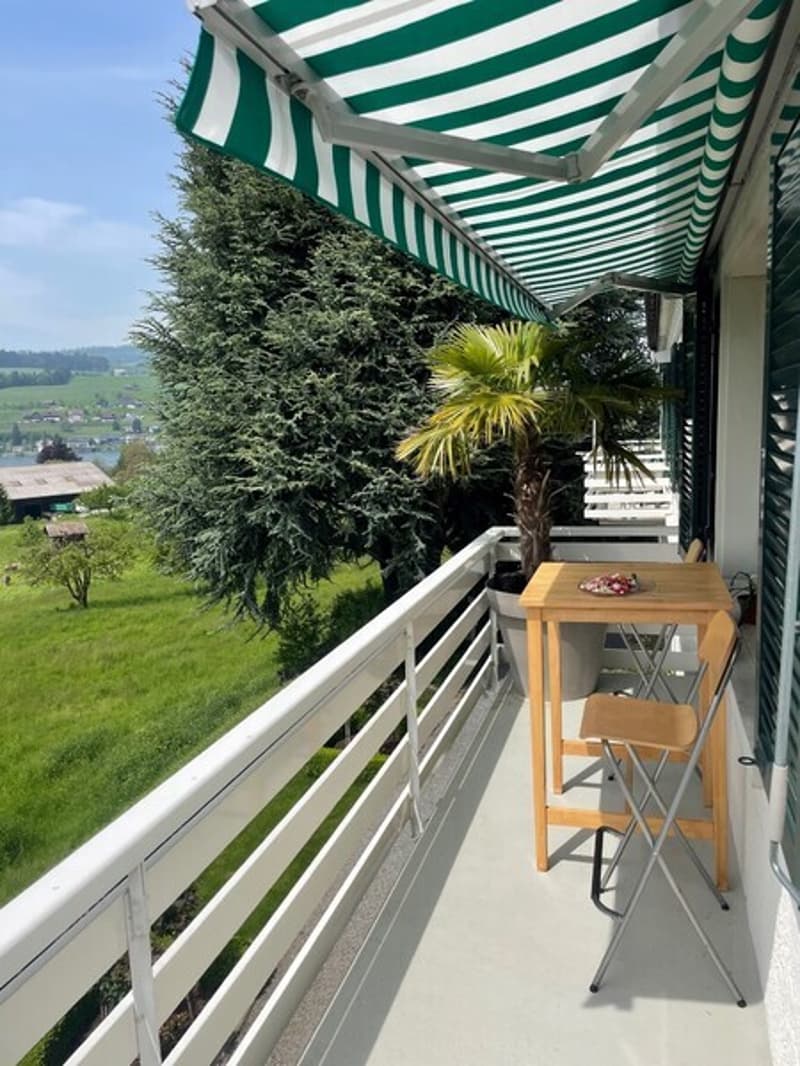 2½ ZI-WOHNUNG IN KÜSSNACHT AM RIGI (SZ), MÖBLIERT, TEMPORÄR (6)