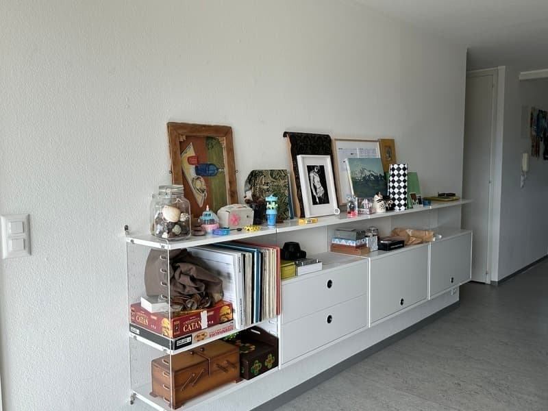 3½ ZI-WOHNUNG IN ZÜRICH - KREIS 3 SIHLFELD, MÖBLIERT, TEMPORÄR (3)