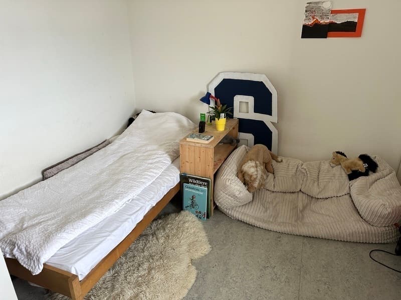 3½ ZI-WOHNUNG IN ZÜRICH - KREIS 3 SIHLFELD, MÖBLIERT, TEMPORÄR (6)