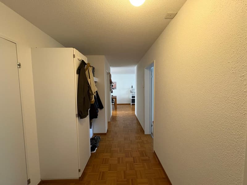 3½ ZI-WOHNUNG IN LUZERN, MÖBLIERT, TEMPORÄR (4)