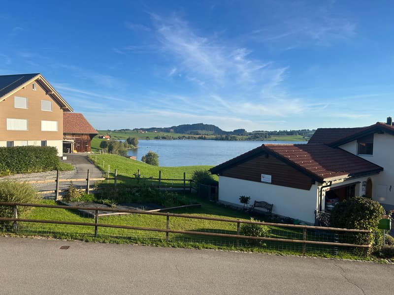 3½ ZI-WOHNUNG IN EINSIEDELN (SZ), MÖBLIERT, TEMPORÄR (10)