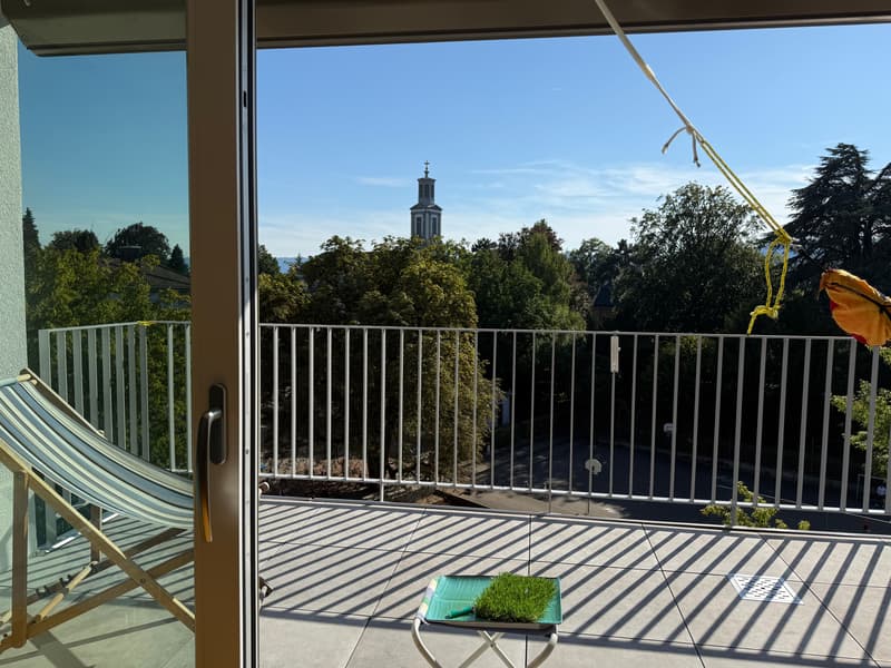 2½ ZI-WOHNUNG IN ZÜRICH - KREIS 8 RIESBACH, MÖBLIERT, TEMPORÄR (7)