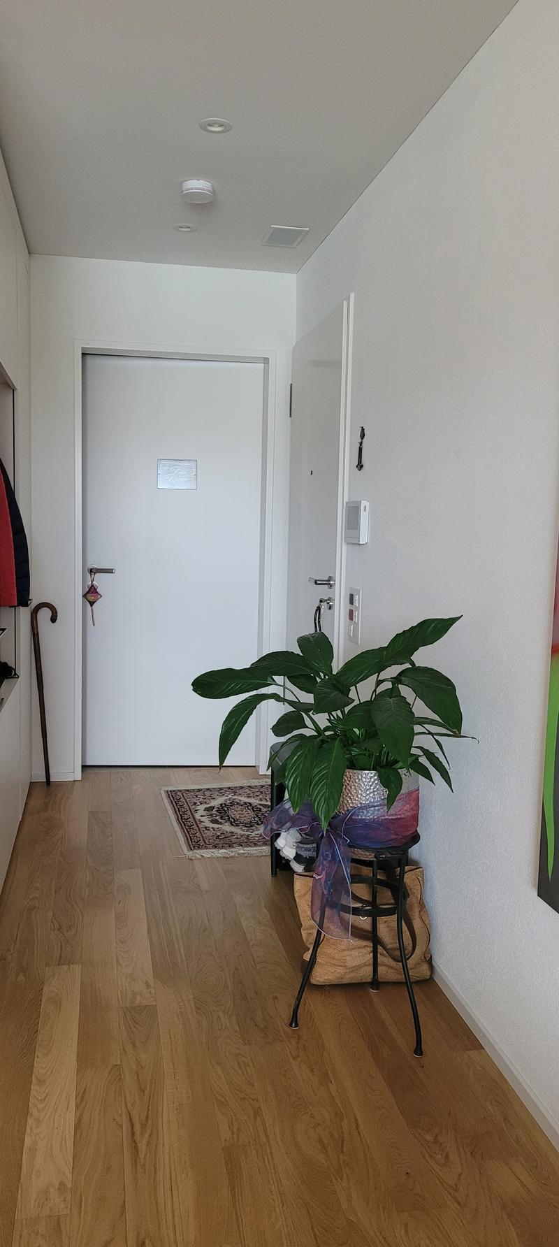 2½ ZI-WOHNUNG IN BERN - BÜMPLIZ, MÖBLIERT, TEMPORÄR (7)