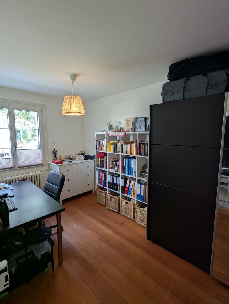 3 ZI-WOHNUNG IN BERN - BREITENRAIN, MÖBLIERT, TEMPORÄR (5)