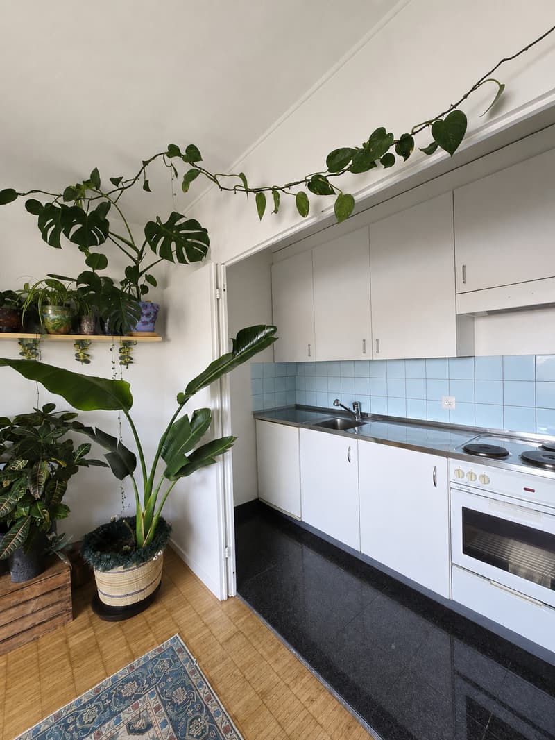 2 ZI-WOHNUNG IN BASEL - MATTHÄUS, MÖBLIERT, TEMPORÄR (2)