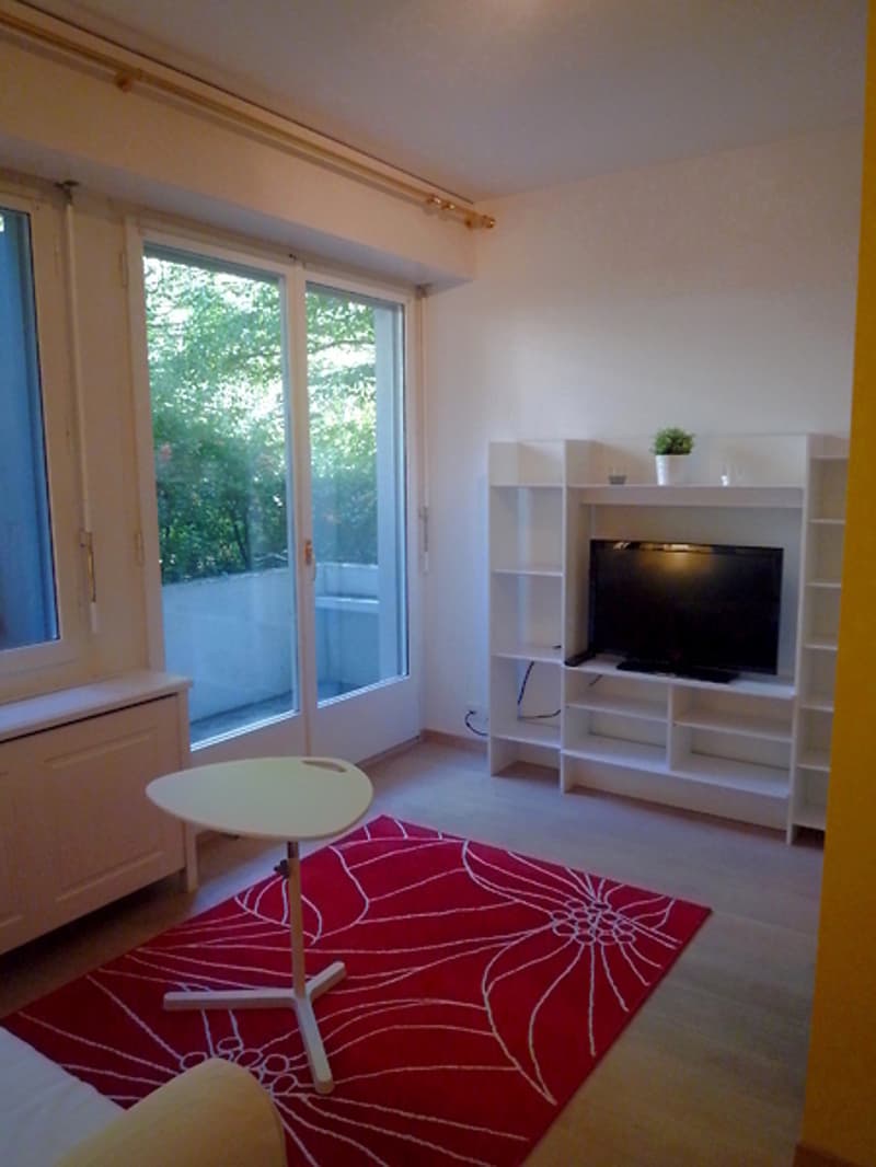 2 ZI-WOHNUNG IN BERN - OSTRING, MÖBLIERT (2)