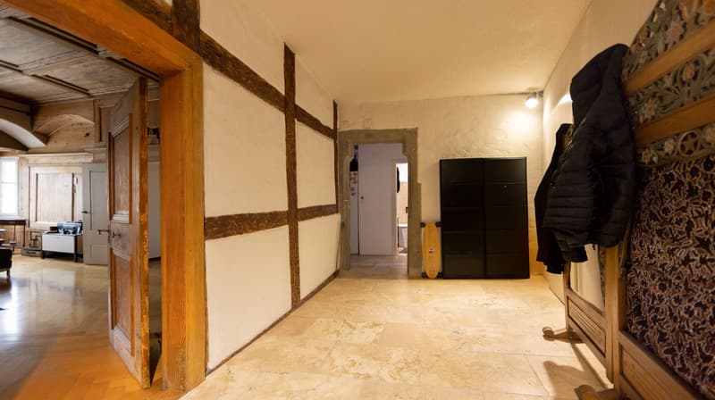 3½ ZI-WOHNUNG IN SCHAFFHAUSEN, MÖBLIERT, TEMPORÄR (7)