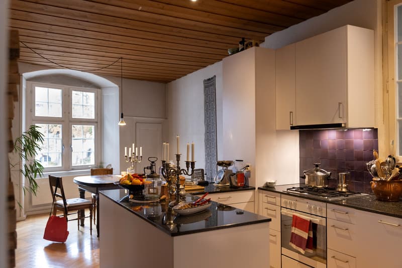 3½ ZI-WOHNUNG IN SCHAFFHAUSEN, MÖBLIERT, TEMPORÄR (3)