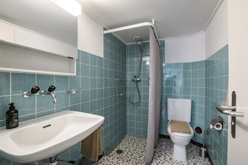 2½ ZI-WOHNUNG IN LEISSIGEN (BE), MÖBLIERT, TEMPORÄR (7)