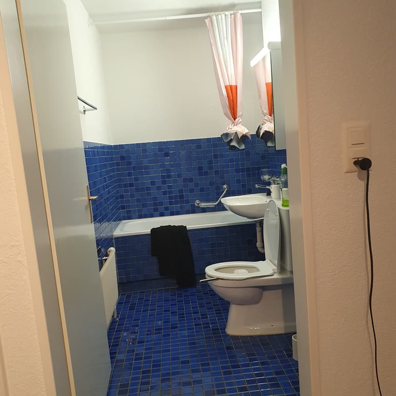 3½ ZI-WOHNUNG IN WETZIKON (ZH), MÖBLIERT, TEMPORÄR (6)