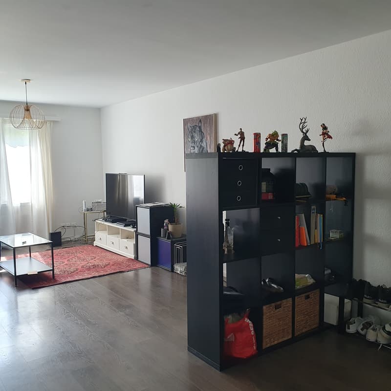 3½ ZI-WOHNUNG IN WETZIKON (ZH), MÖBLIERT, TEMPORÄR (2)