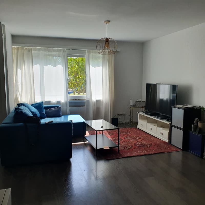 3½ ZI-WOHNUNG IN WETZIKON (ZH), MÖBLIERT, TEMPORÄR (1)