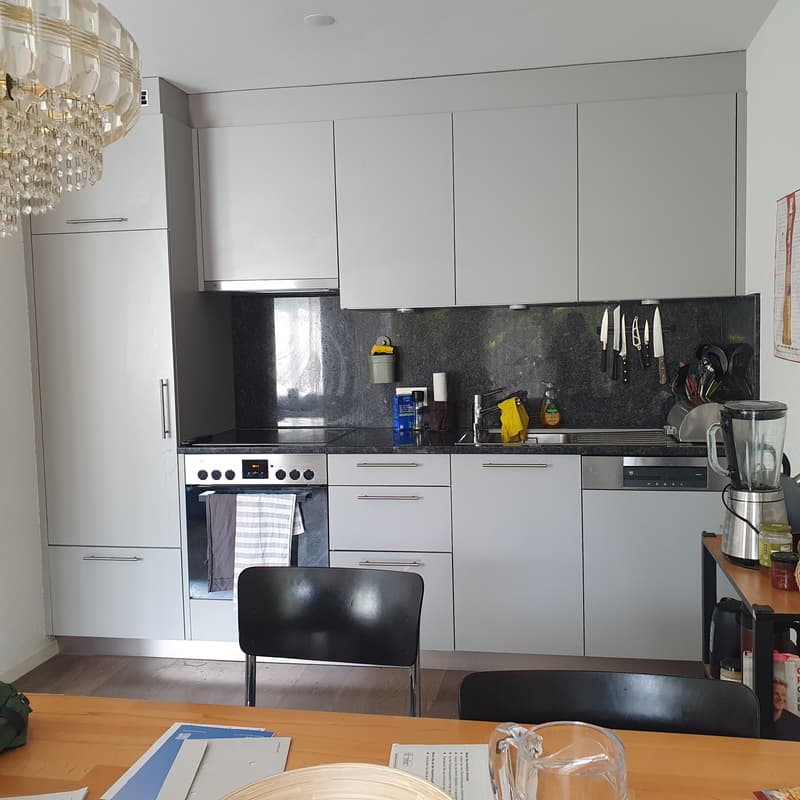 3½ ZI-WOHNUNG IN WETZIKON (ZH), MÖBLIERT, TEMPORÄR (3)