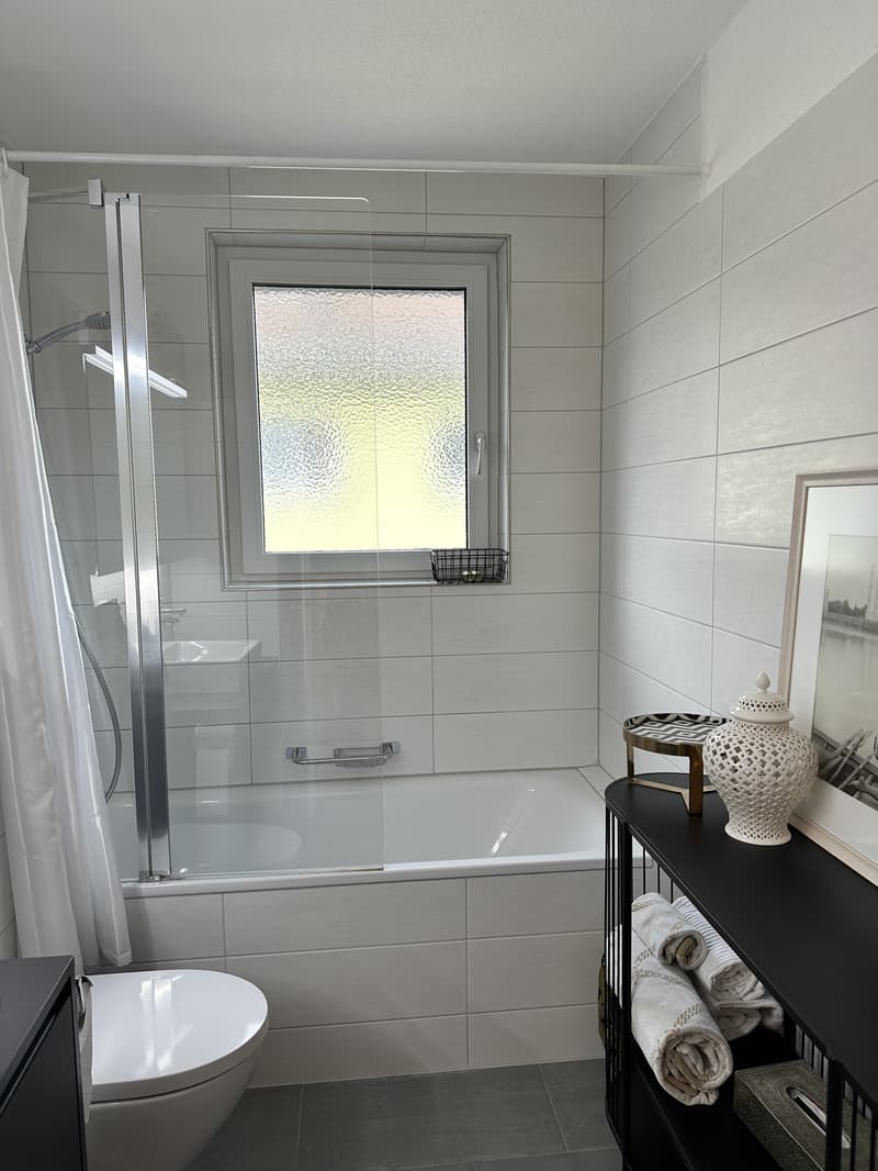 2½ ZI-WOHNUNG IN ZÜRICH, MÖBLIERT, TEMPORÄR (7)