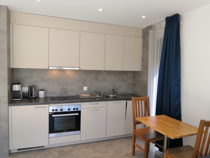 2½ ZI-WOHNUNG IN ERMATINGEN (TG), MÖBLIERT, TEMPORÄR (3)