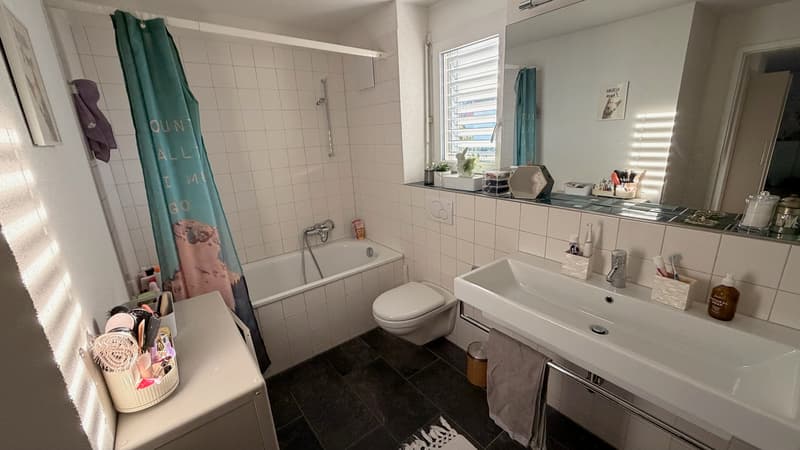 4½ ZI-WOHNUNG IN WABERN (BE), MÖBLIERT, TEMPORÄR (5)