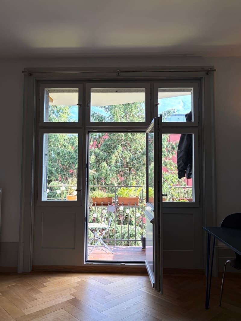 2 ZI-WOHNUNG IN BERN - WEISSENBÜHL, MÖBLIERT, TEMPORÄR (8)