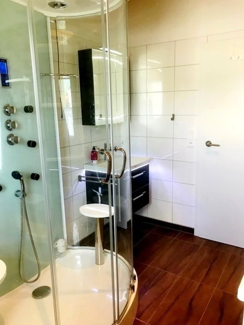 2½ ZI-WOHNUNG IN OBERGÖSGEN (SO), MÖBLIERT (5)