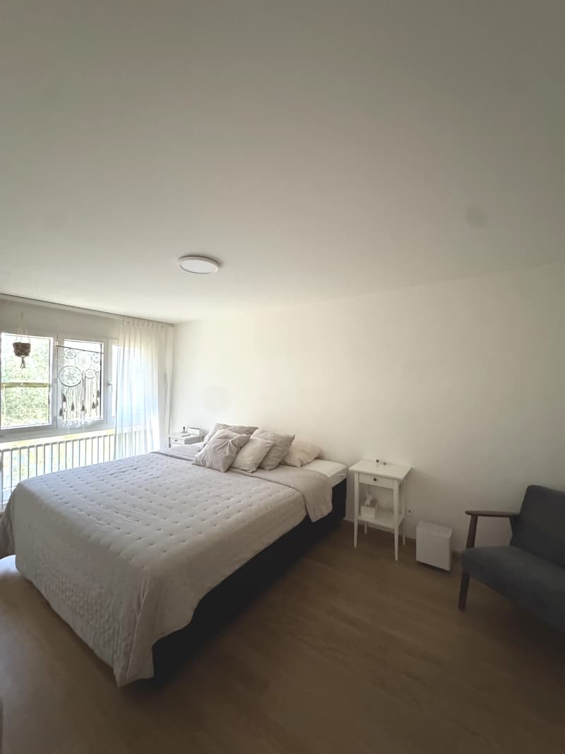 4½ ZI-WOHNUNG IN AESCH (BL), MÖBLIERT, TEMPORÄR (6)