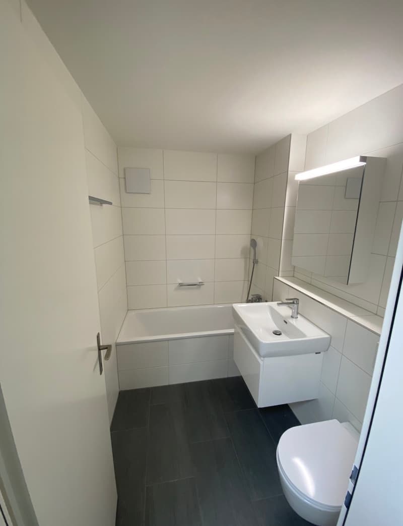 4½ ZI-WOHNUNG IN AESCH (BL), MÖBLIERT, TEMPORÄR (7)