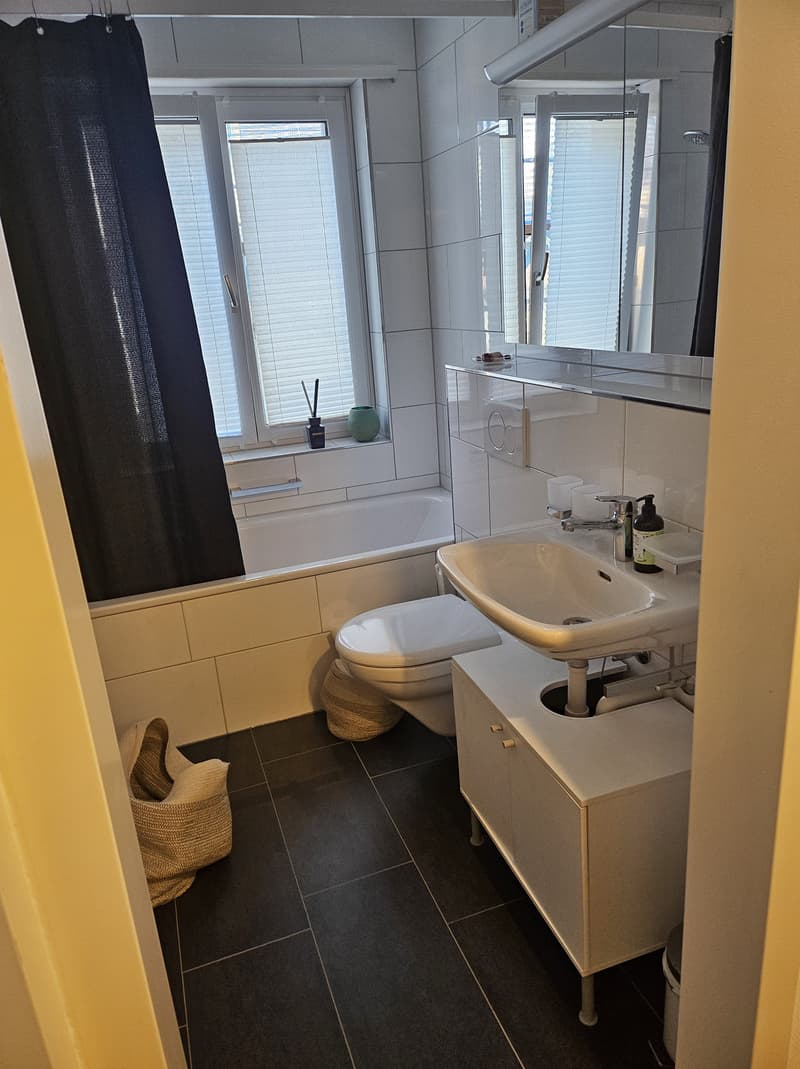 2½ ZI-WOHNUNG IN ZÜRICH - KREIS 3 WIEDIKON, MÖBLIERT, TEMPORÄR (6)