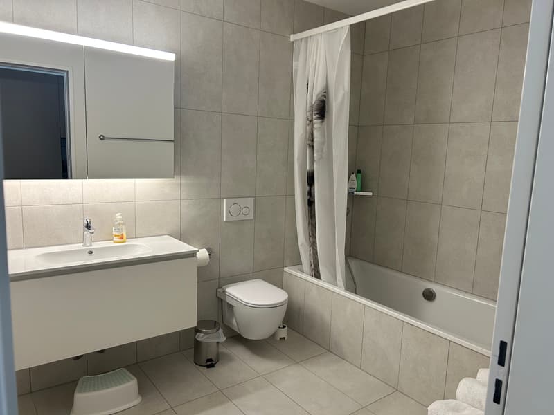 3½ ZI-WOHNUNG IN KRIENS (LU), MÖBLIERT, TEMPORÄR (4)