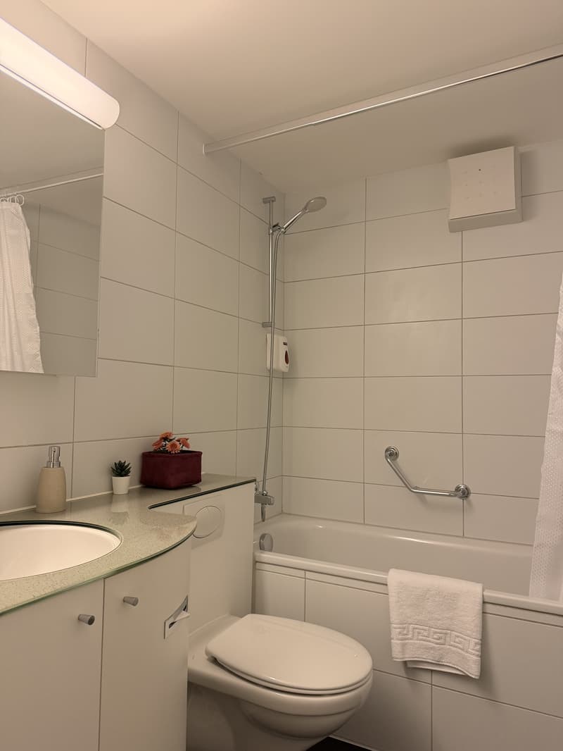 2½ ZIMMER-MAISONETTEWOHNUNG IN ZÜRICH - KREIS 8 SEEFELD/MÜHLEBACH, MÖB (8)