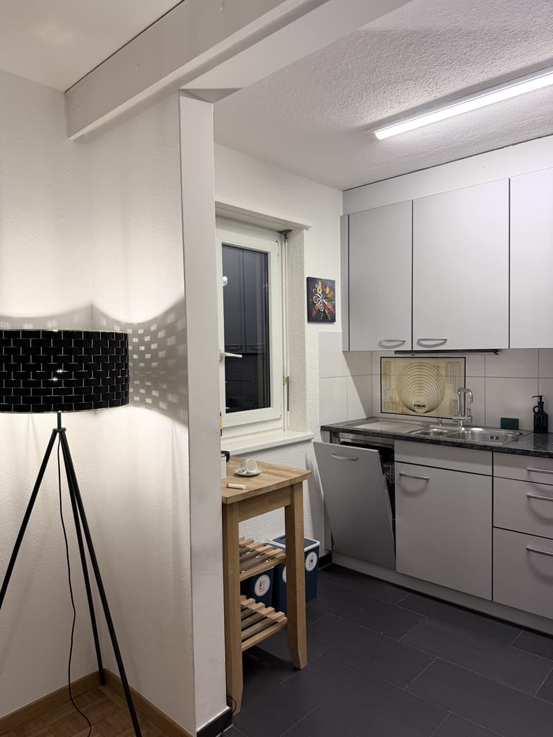 2½ ZIMMER-MAISONETTEWOHNUNG IN ZÜRICH - KREIS 8 SEEFELD/MÜHLEBACH, MÖB (6)