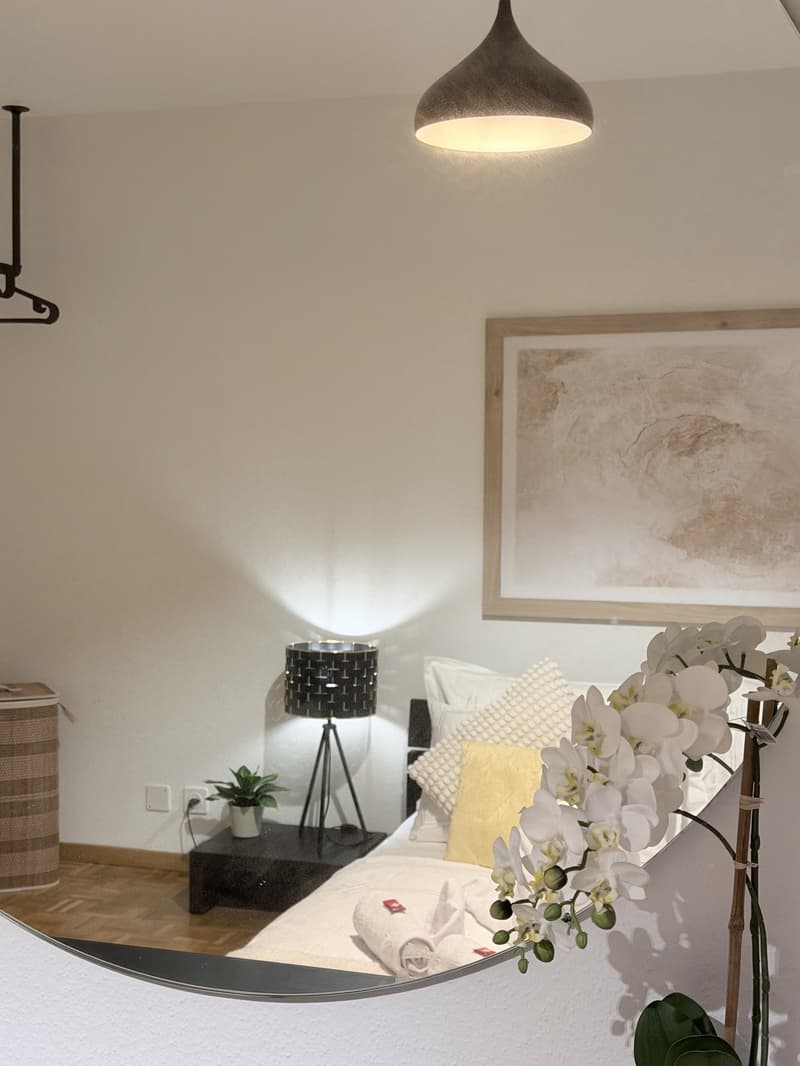 2½ ZIMMER-MAISONETTEWOHNUNG IN ZÜRICH - KREIS 8 SEEFELD/MÜHLEBACH, MÖB (3)