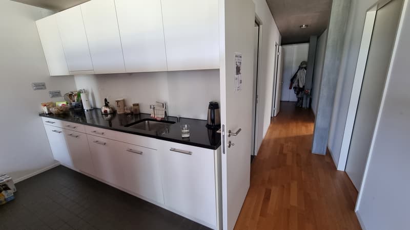 3½ ZI-WOHNUNG IN LUZERN, MÖBLIERT, TEMPORÄR (4)