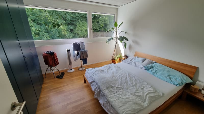 3½ ZI-WOHNUNG IN LUZERN, MÖBLIERT, TEMPORÄR (5)