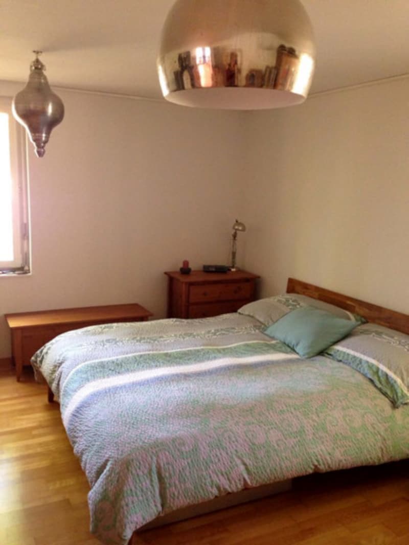 3½ ZI-WOHNUNG IN BERN - FELSENAU, MÖBLIERT, TEMPORÄR (6)