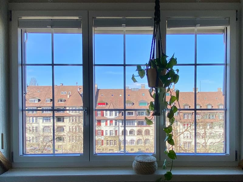 1 ZI-WOHNUNG IN BERN - BREITENRAIN, MÖBLIERT, TEMPORÄR (10)