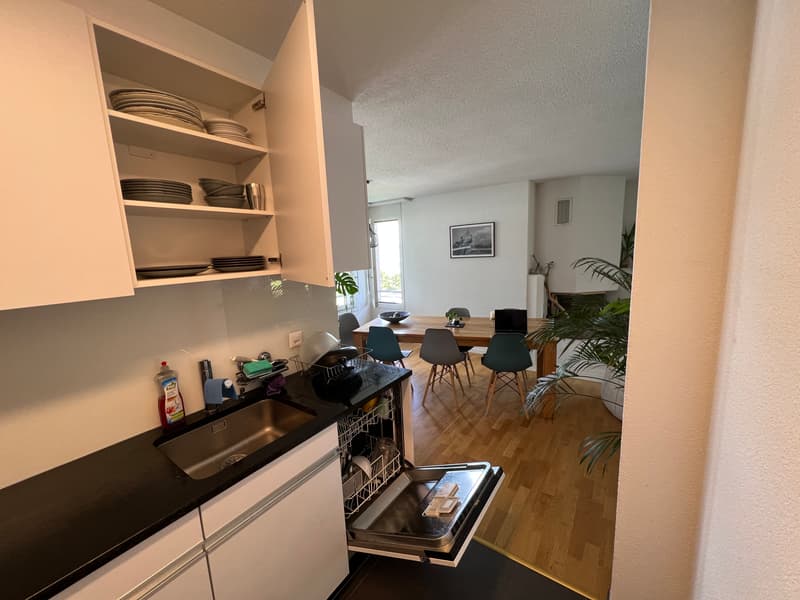 4½ ZI-WOHNUNG IN WÄDENSWIL (ZH), MÖBLIERT, TEMPORÄR (4)