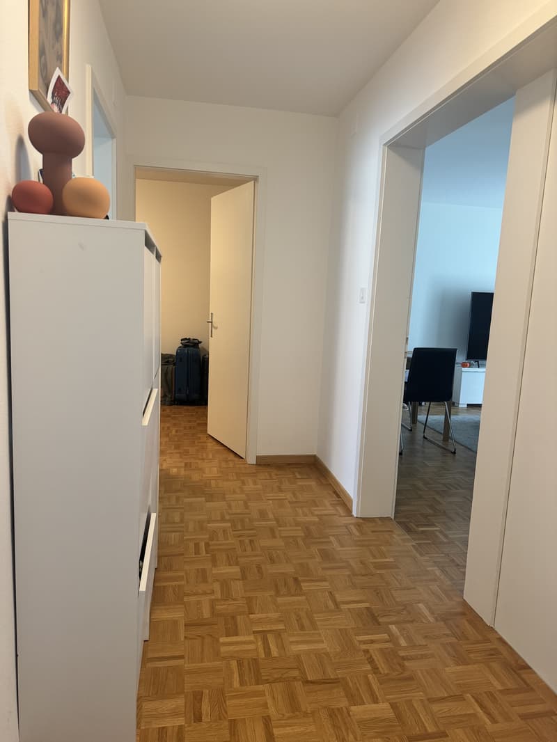 2 ZI-WOHNUNG IN ADLISWIL (ZH), MÖBLIERT, TEMPORÄR (2)