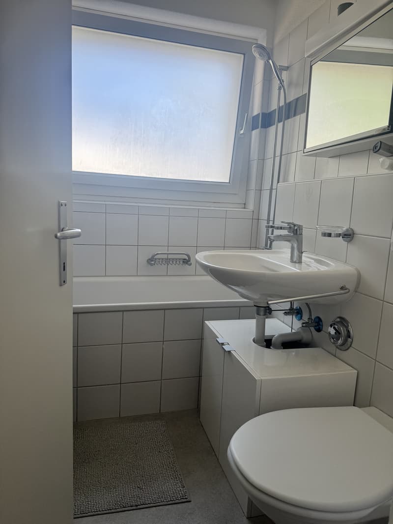 2 ZI-WOHNUNG IN ADLISWIL (ZH), MÖBLIERT, TEMPORÄR (5)
