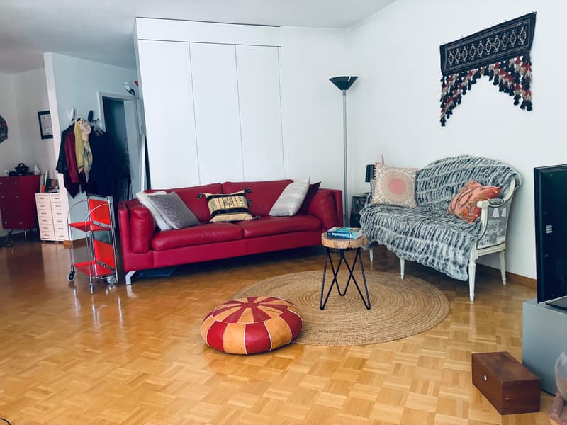 3 ZI-WOHNUNG IN BERN - BREITENRAIN, MÖBLIERT, TEMPORÄR (1)