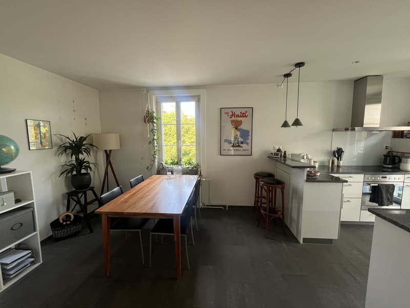 2½ ZI-WOHNUNG IN BERN - BREITENRAIN, MÖBLIERT, TEMPORÄR (1)