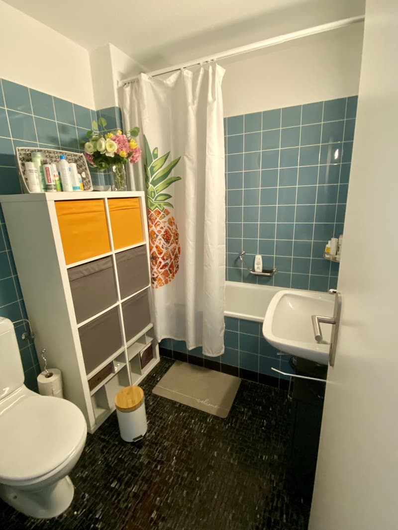 2½ ZI-WOHNUNG IN EBMATINGEN (ZH), MÖBLIERT, TEMPORÄR (6)