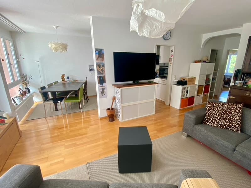 2½ ZI-WOHNUNG IN EBMATINGEN (ZH), MÖBLIERT, TEMPORÄR (1)