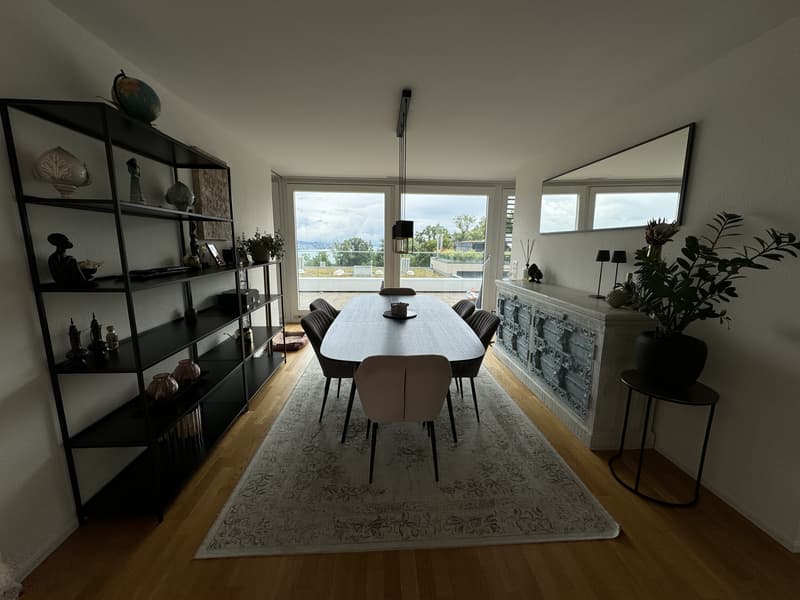 4½ ZIMMER-DACHWOHNUNG IN WÄDENSWIL (ZH), MÖBLIERT, TEMPORÄR (2)