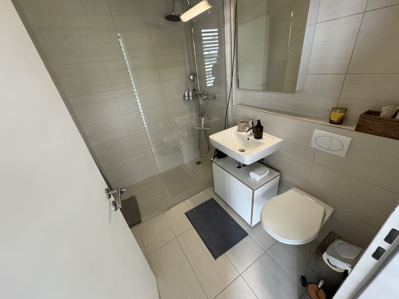 4½ ZIMMER-DACHWOHNUNG IN WÄDENSWIL (ZH), MÖBLIERT, TEMPORÄR (7)