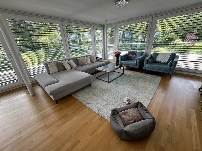 4½ ZIMMER-DACHWOHNUNG IN WÄDENSWIL (ZH), MÖBLIERT, TEMPORÄR (1)