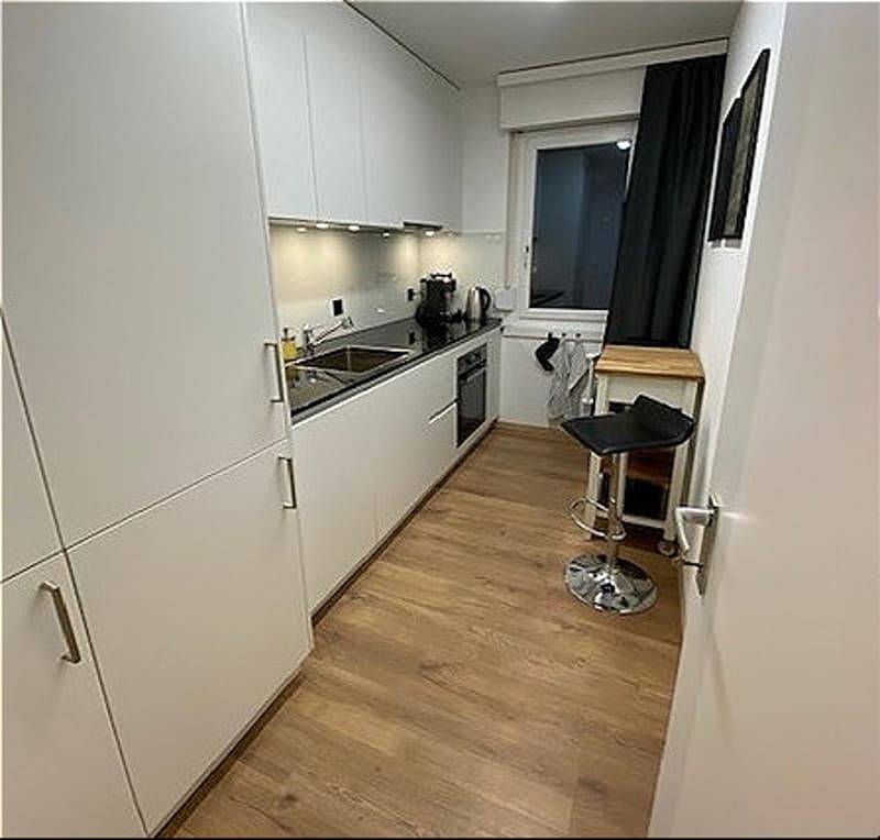 5½ ZI-WOHNUNG IN VOLKETSWIL (ZH), MÖBLIERT (4)