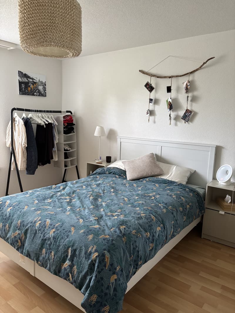 3½ ZI-WOHNUNG IN BIBERIST (SO), MÖBLIERT, TEMPORÄR (4)