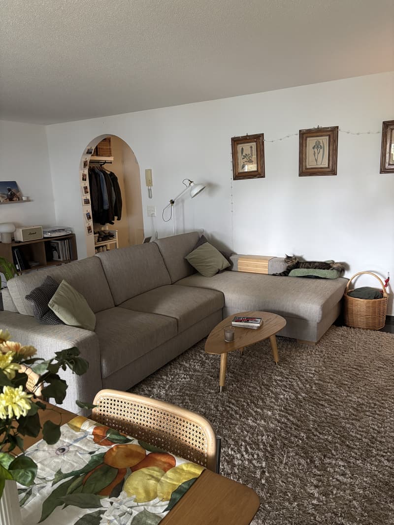 3½ ZI-WOHNUNG IN BIBERIST (SO), MÖBLIERT, TEMPORÄR (1)